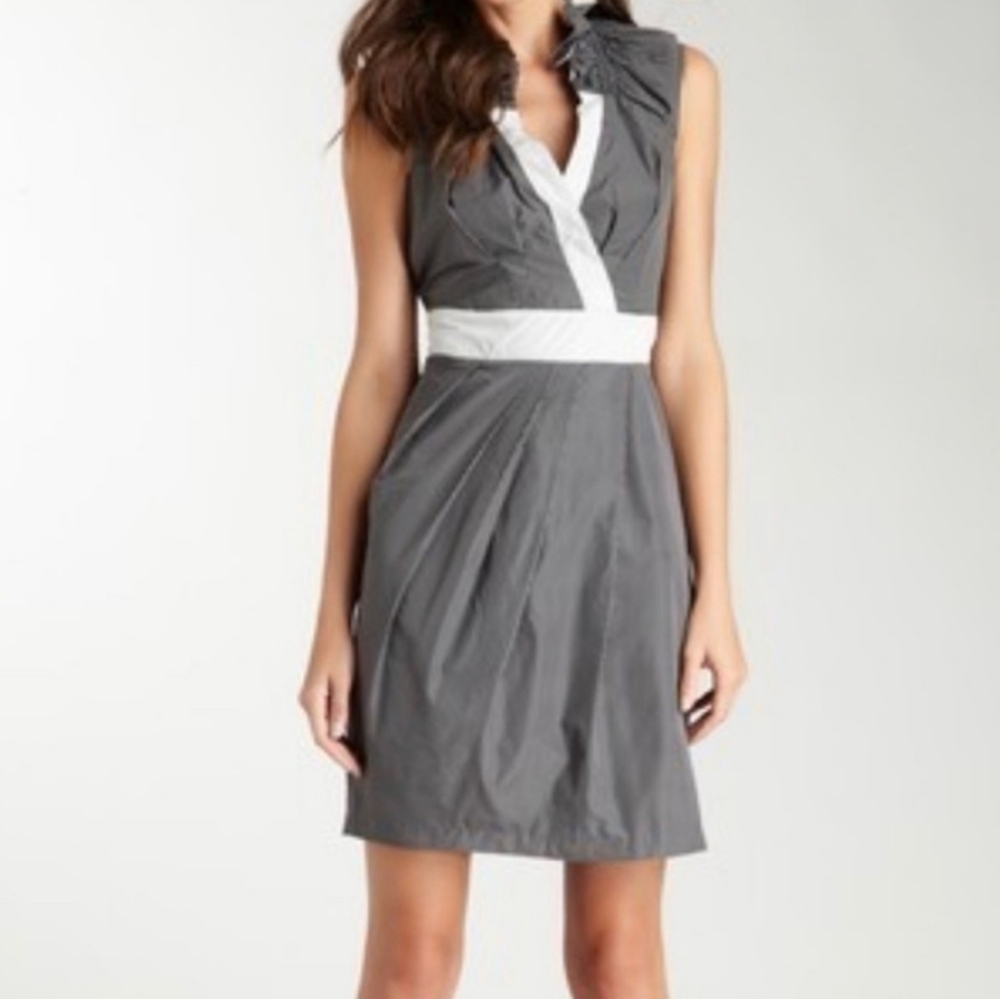 Eva Franco Cute Sleeveless Sheath Dress Size 6